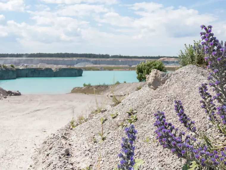 Cementa meddelas tillstånd att bryta kalksten i Slite i fyra år